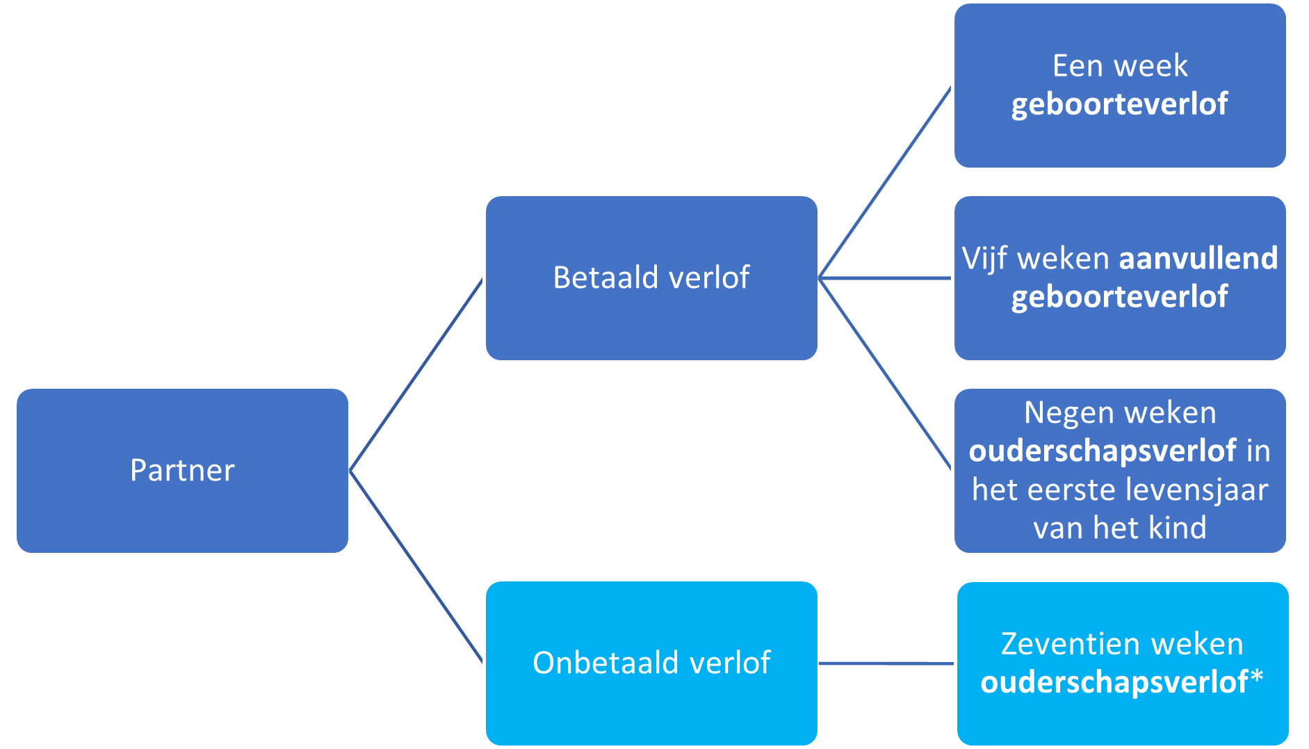 recht op verlof partner